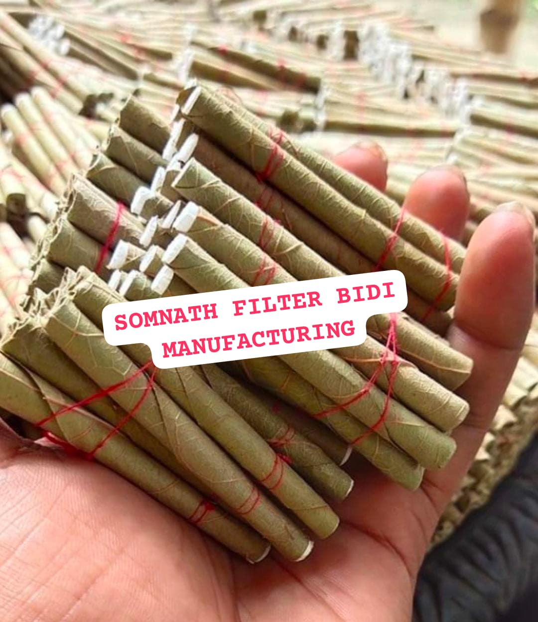 Filter Bidi Collection